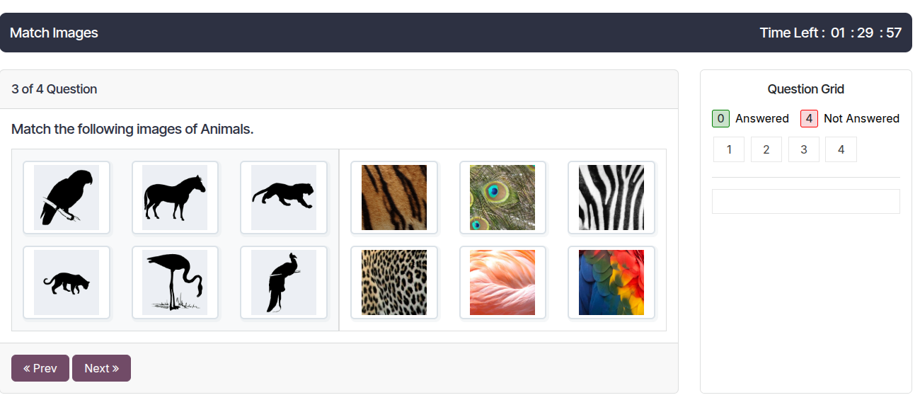 Match the Images Question Type
